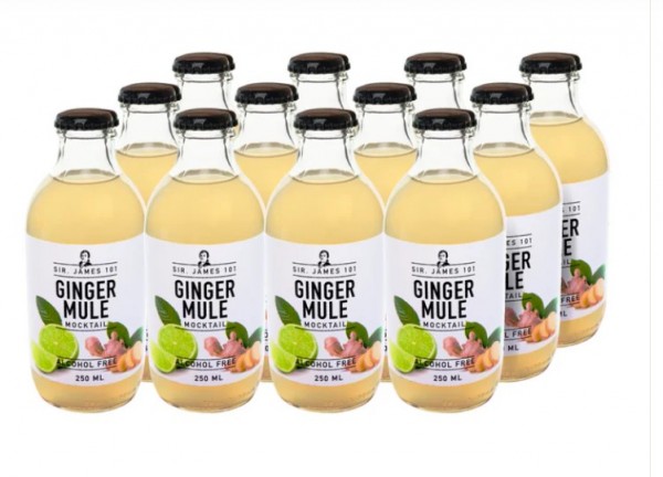 SIR. JAMES 101 GINGER MULE Mocktail Alcohol Free Kiste 12 x 250 ml Holland