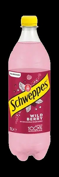 Schweppes Wild Berry PET 1 Liter Deutschland